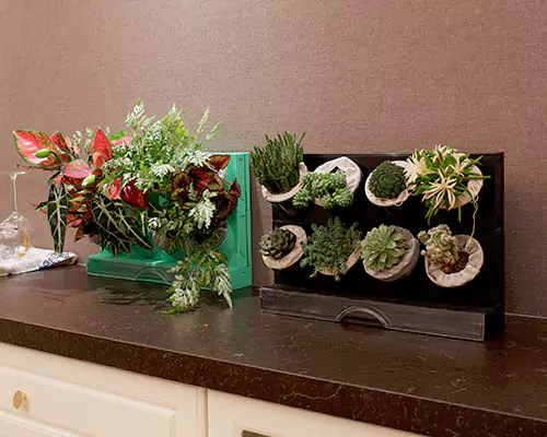 I vasi da fiori colorati fanno sentire le mie piante come se fossero in vacanza ogni giorno