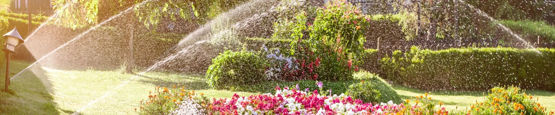 Irrigazione