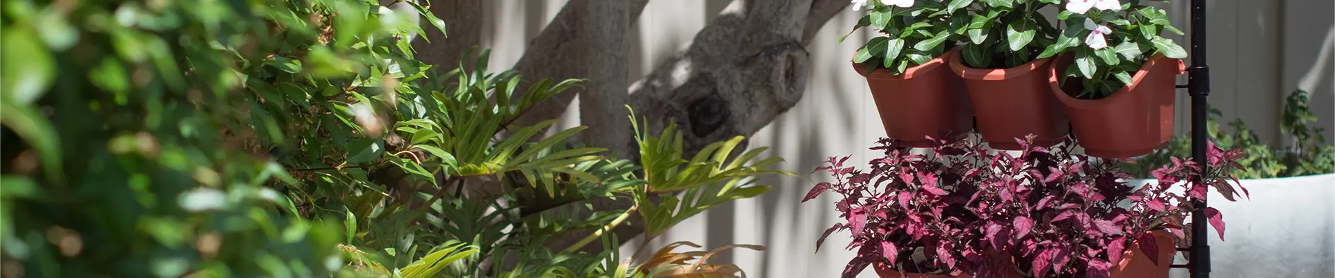 Giardino verticale di eco-giardinaggio