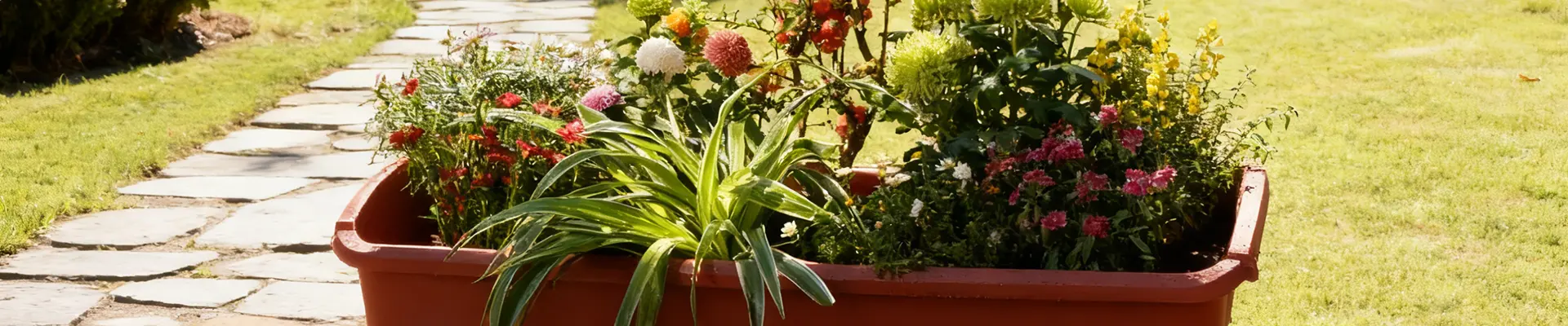 Scatola per fioriera