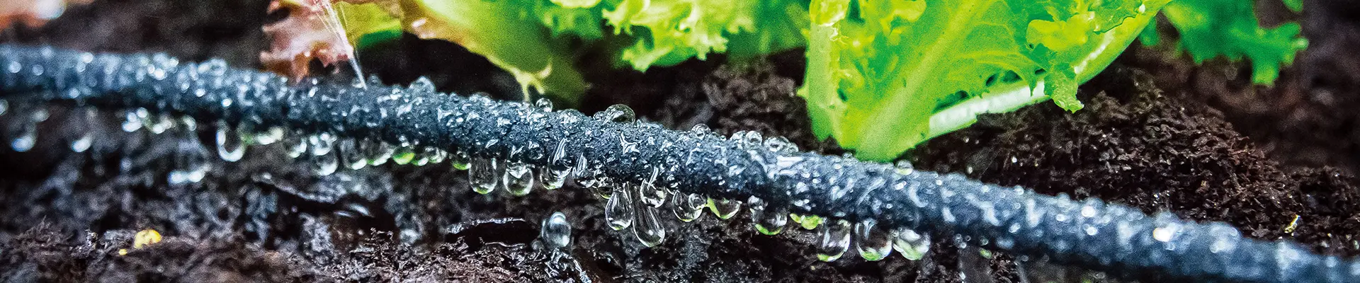 Kit di irrigazione fai da te