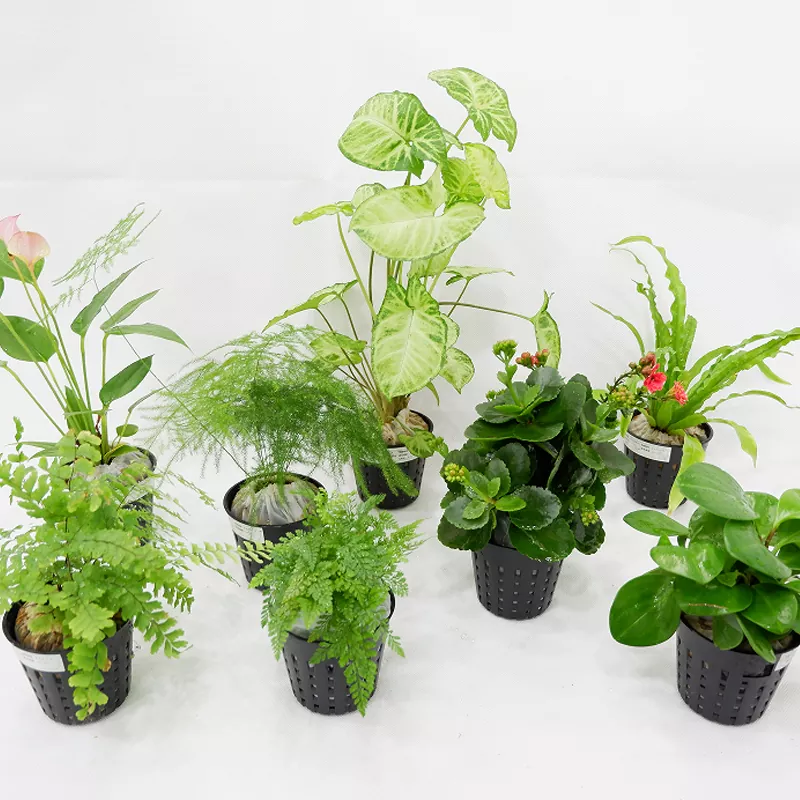 Fioriera interna da 3 pollici in materiale PP